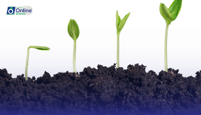 Lesson 18: Plant Growth: Primary and Secondary
